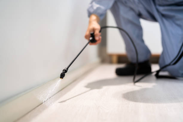 Licensed Termite Control service in Geraldine, AL - Nex Pest Control
