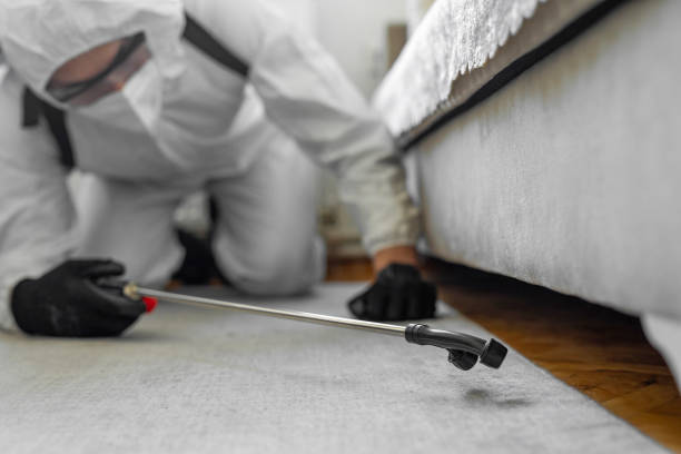 Professional Termite Control technician working in Geraldine, AL