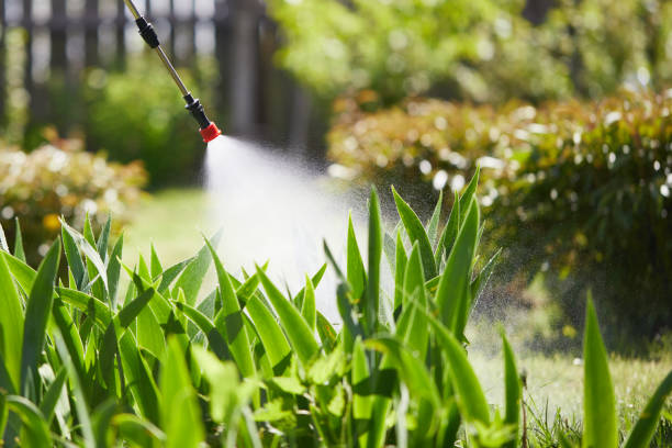 24/7 Emergency Termite Control experts in Geraldine, AL