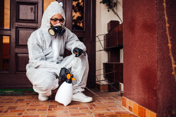 Reliable Termite Control contractor in Geraldine, AL by Nex Pest Control